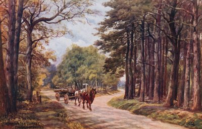 Broadbridge森林，Tunbridge Wells 作者 Alfred Robert Quinton
