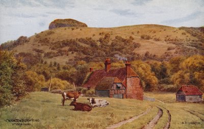 Chanctonbury Ring，Worthing 作者 阿尔弗雷德·罗伯特·昆顿