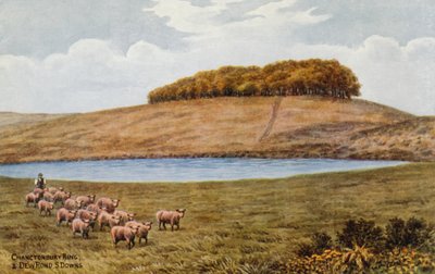 Chanctonbury Ring和Dew Pond，S Downs 作者 阿尔弗雷德·罗伯特·昆顿