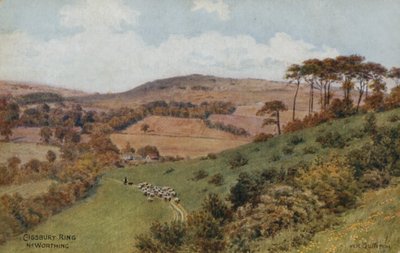 Worthing附近的Cissbury Ring 作者 阿尔弗雷德·罗伯特·昆顿