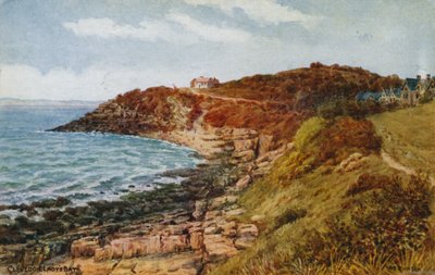 Clevedon，Lady&39;s Bay 作者 Alfred Robert Quinton