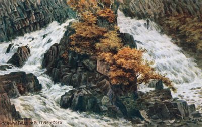 康威瀑布，Nr Bettws-y-Coed 作者 阿尔弗雷德·罗伯特·昆顿