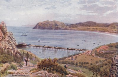 小奥姆和欢乐谷，兰杜德诺（彩色印刷版） 作者 阿尔弗雷德·罗伯特·昆顿