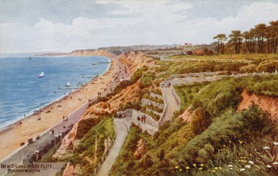 新的Zig-zag West Cliff，伯恩茅斯 作者 Alfred Robert Quinton