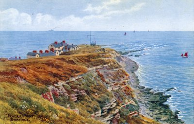 Peveril Point，斯沃尼奇 作者 阿尔弗雷德·罗伯特·昆顿
