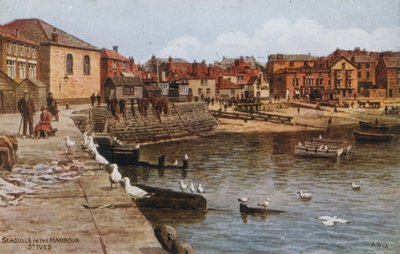 海鸥在海港，圣艾夫斯 作者 Alfred Robert Quinton