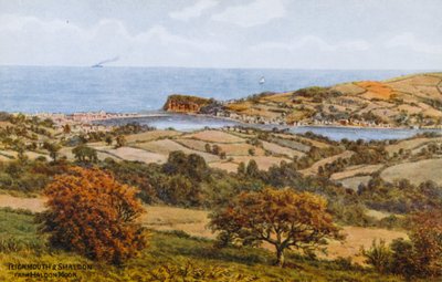 来自Haldon Moor的Teignmouth和Shaldon 作者 阿尔弗雷德·罗伯特·昆顿