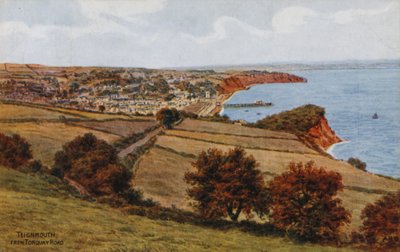 Teignmouth，来自Torquay Road 作者 阿尔弗雷德·罗伯特·昆顿