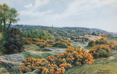 共同的，Tunbridge Wells 作者 阿尔弗雷德·罗伯特·昆顿