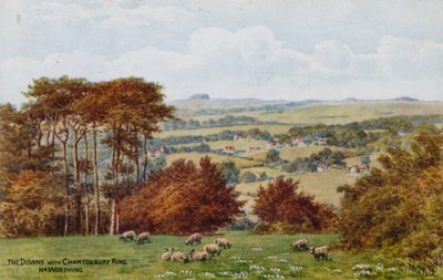 The Downs with Chantonbury Ring，Nr Worthing 作者 阿尔弗雷德·罗伯特·昆顿