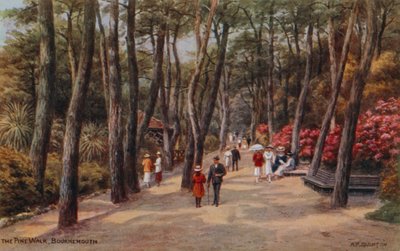 松树步道，伯恩茅斯 作者 阿尔弗雷德·罗伯特·昆顿
