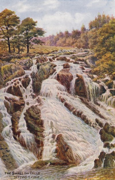 燕子瀑布，Bettws-Y-Coed（彩色石版画） 作者 阿尔弗雷德·罗伯特·昆顿