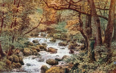 Torrent Walk，Dolgelley 作者 阿尔弗雷德·罗伯特·昆顿