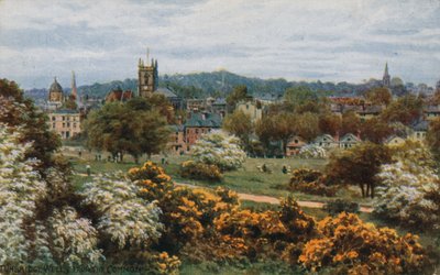 来自The Common的Tunbridge Wells 作者 阿尔弗雷德·罗伯特·昆顿