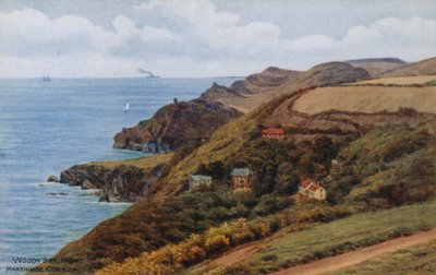 Woody Bay，来自Martinhoe Common 作者 阿尔弗雷德·罗伯特·昆顿