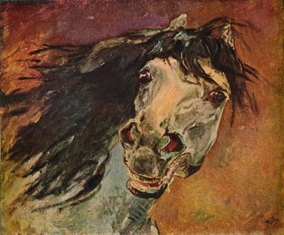 安达卢西亚马头，c1910 作者 阿尔弗雷德·罗尔