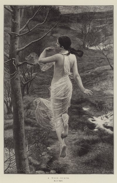 木若虫 作者 Alfred Seifert