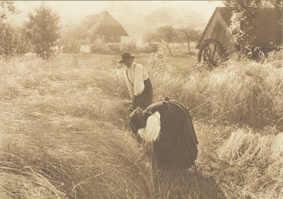 早晨，1894年。 作者 阿尔弗雷德·斯蒂格利茨