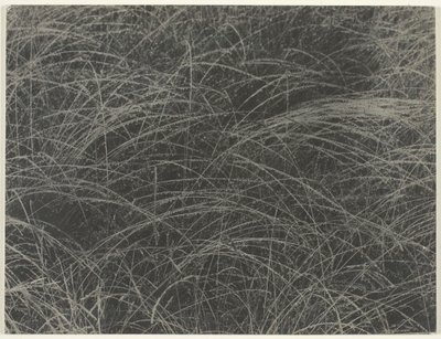 等价物，1927年。 作者 阿尔弗雷德·斯蒂格利茨