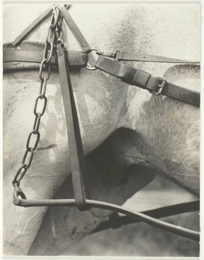 等价物，精神美国，1923年。 作者 阿尔弗雷德·斯蒂格利茨