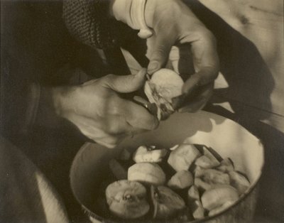 乔治亚-奥基夫--手, 192022. 作者 阿尔弗雷德·斯蒂格利茨