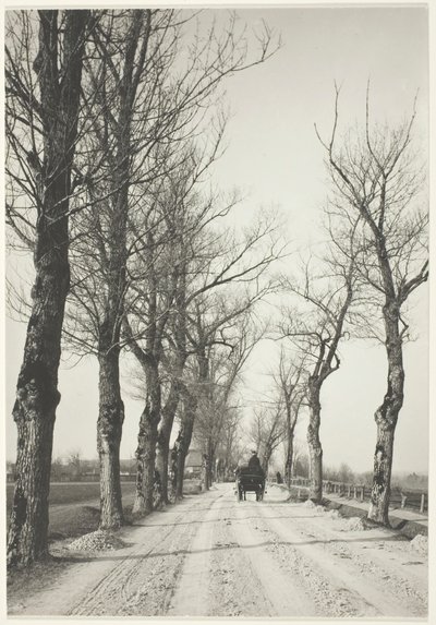 1887年11月日，192039年印刷。 作者 阿尔弗雷德·斯蒂格利茨