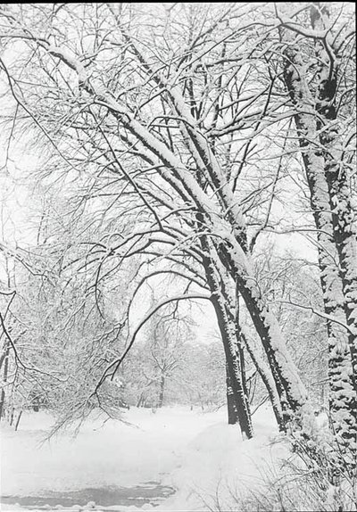 雪景，柏林，188892年。 作者 阿尔弗雷德·斯蒂格利茨