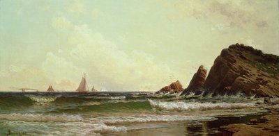 1882年，缅因州波特兰港的伊丽莎白角悬崖 作者 阿尔弗雷德·汤普森·布里彻