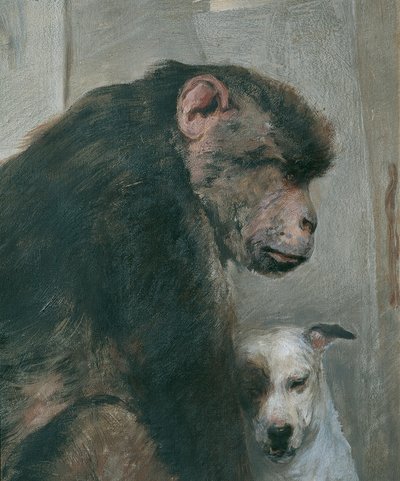 猴子和狗 作者 阿尔弗雷德·韦斯曼