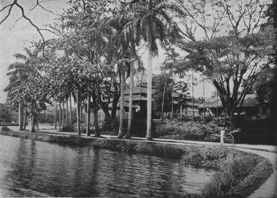 康提-风景如画的湖角，c1890，1910年 作者 阿尔弗雷德·威廉·阿曼杜斯板