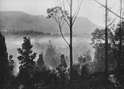 1910年在努沃勒埃利耶（Nuwara Eliya）出现的清晨薄雾 作者 阿尔弗雷德·威廉·阿曼杜斯板