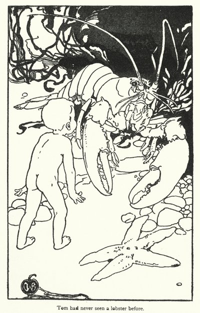 查尔斯-金斯利为《水宝宝》绘制的插图（石版画） 作者 爱丽丝·博林布鲁克（后）伍德沃德