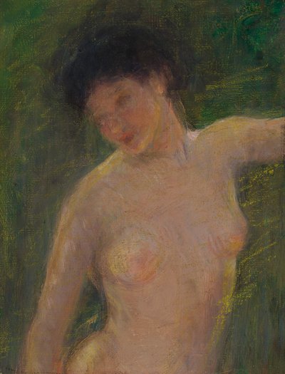 阴影中，约1910年。 作者 爱丽丝·派克·巴尼