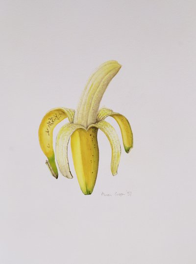 1997年半剥香蕉 作者 艾莉森·库珀
