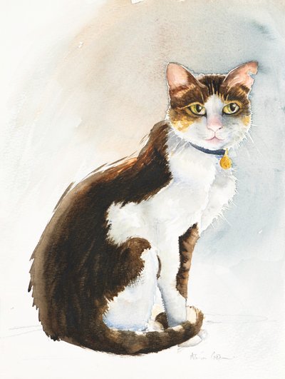 沙特猫戴夫，2019（水彩） 作者 艾莉森·库珀