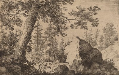 森林中的巨石，大概在1645-1656年。 作者 阿拉特·范·埃弗丁根