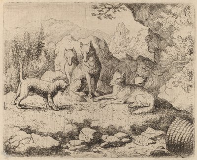 担任信使的猫，大概在1645-1656年。 作者 阿拉特·范·埃弗丁根