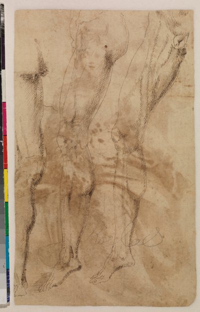 男性腿的三项研究（反面）c.1537（钢笔和棕色墨水在纸上）[参见 5948317] 作者 阿隆索（Berruguete 工作室）