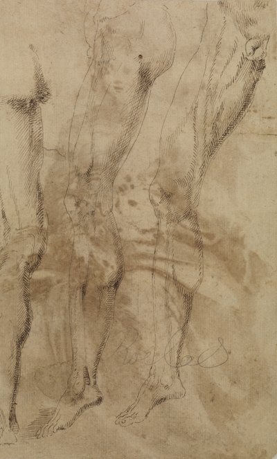 对男性腿部的三项研究，约1637年 作者 阿隆索·贝鲁格特