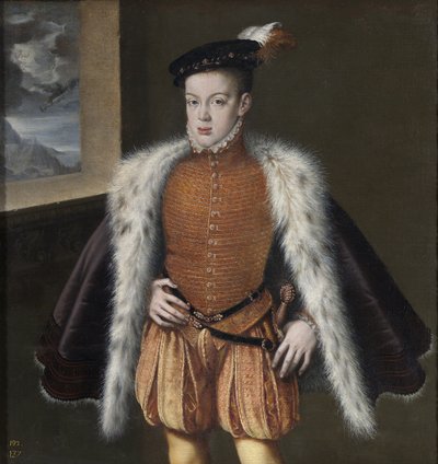 1555-1559年，阿斯图里亚斯王子唐·卡洛斯（Don Carlos） 作者 Alonso Sánchez Coello