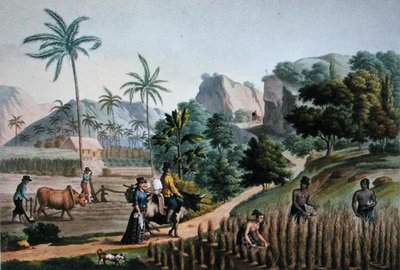 关岛。农业工程，摘自《1817-20年乌拉尼的世界之旅》，由Pomel刻制，1825年出版（雕刻版）。 作者 阿尔方斯（后）Pellion