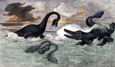 利亚斯期（下侏罗世）：栉水母龙和伊奇龙、自然造物和生物（朱尔斯-伦加德著），A. Demarle 绘制。1885 作者 阿方斯·德马尔