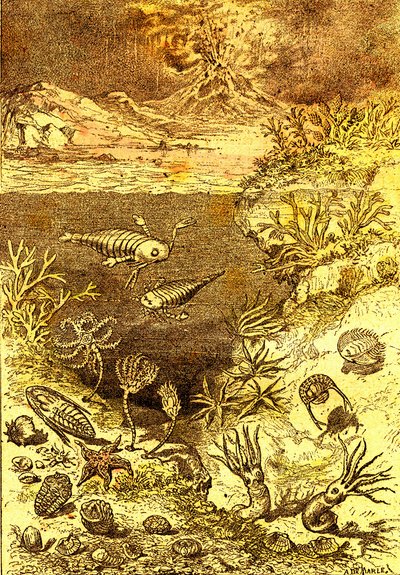 史前-志留纪末期：自然创造与生物（J. Rengade）绘制 A. Demarle。1885 作者 阿方斯·德马尔