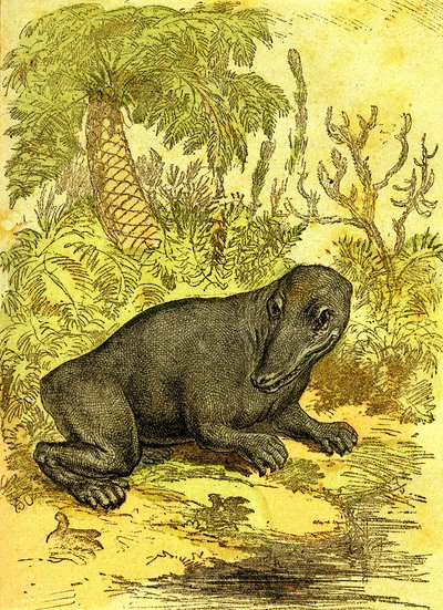 迷宫齿兽（两栖类）：煤炭时代的两栖类。 自然创造和生物。 A.德马尔 1885 年绘图 作者 阿方斯·德马尔