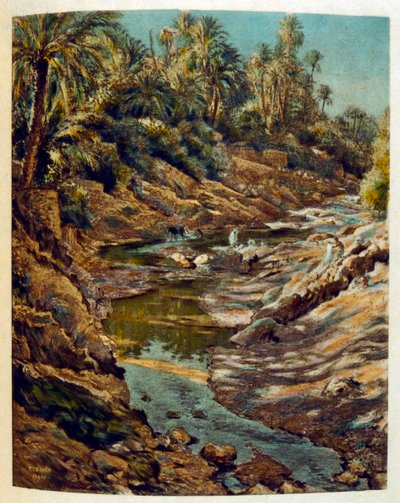 Dinet 的插图来自“海市蜃楼”阿拉伯生活场景。 1906 年，《海市蜃楼》《阿拉伯生活场景》由艾蒂安·迪内 (Etienne Dinet) 绘制插图，并由西尔曼·本·易卜拉欣·巴默 (Silman Ben Ibrahim Bamer) 进行评论。 纳斯雷丁·迪内 (Nasreddine Dinet) 出生时原名阿尔丰斯·艾蒂安·迪内 (Alphonse-Étienne Dinet)； （1861-1929）是法国东方人 作者 阿方斯·艾蒂安·迪内