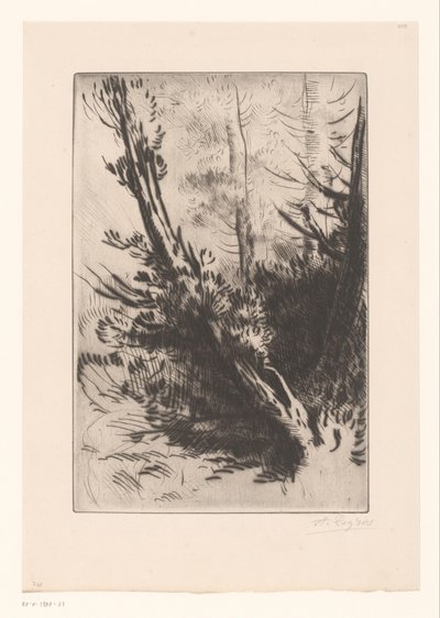树木 作者 Alphonse Legros（艺术家签名）