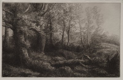 林地研究 作者 阿方斯·莱格罗斯（Alphonse Legros）