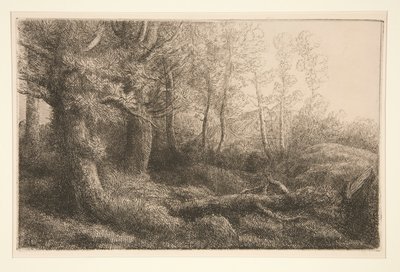 林地研究 作者 阿方斯·莱格罗斯（Alphonse Legros）