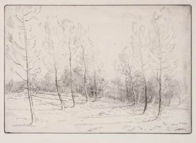 杨树大道 作者 阿方斯·莱格罗斯（Alphonse Legros）