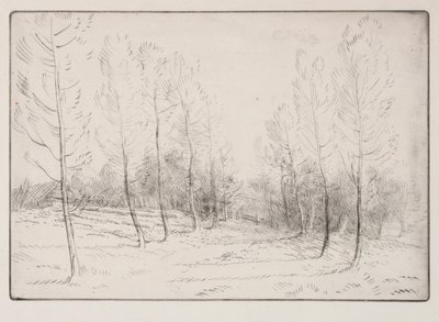 杨树大道。 作者 阿方斯·莱格罗斯（Alphonse Legros）